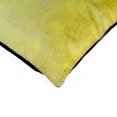 thumbnail image 2 of 18" x 18" x 5" Yellow Cowhide  Pillow 2 Pack, 2 of 2