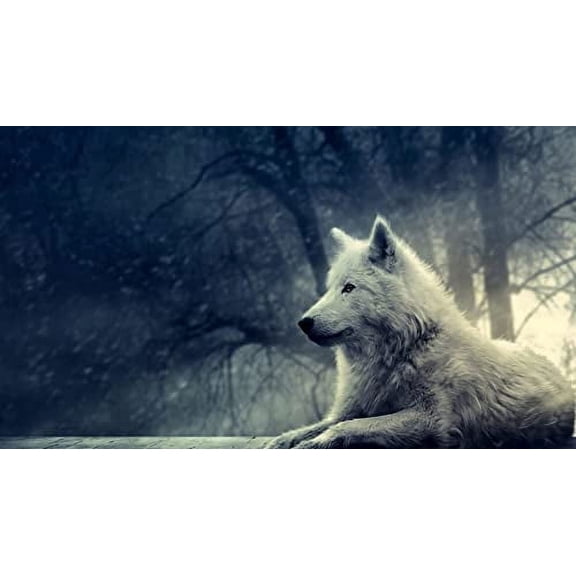 Wolf Birthday Edible Image Icing Cake Topper for Quarter Sheet Cake, by TNCT