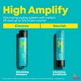 thumbnail image 6 of Matrix High Amplify Conditioner Liter / 33.8 oz | For Volume, 6 of 7