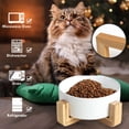 thumbnail image 3 of Cuenco para perros, cuenco de comida, cuenco de alimentación para perros y gatos con soporte, 3 of 6
