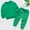 Z01-Green, variant on Boys Track Suit Hoodies and Joggers Pants Set Fall Outfits Regular Fit Hoodie Sets 2 Pieces Boys Sweatsuit Set Clothing Set