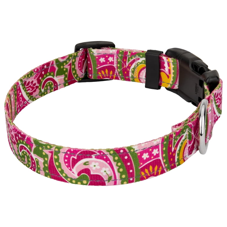 Country Brook Petz Pink Paisley Reflective Dog Collar, Large photo 4