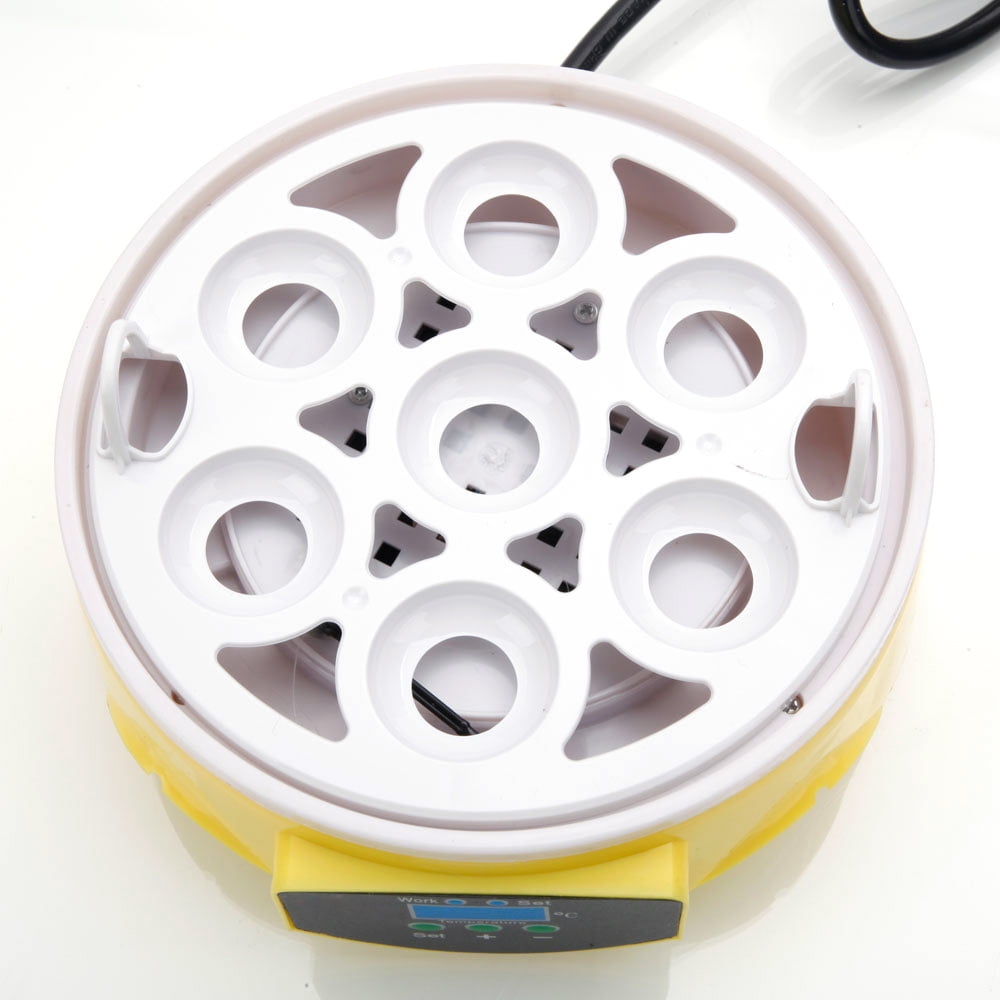 Canddidliike Mini Automatic 7-Egg Incubator Breeder for Chicken, Ducks, Birds & More Canddidliike Mini Automatic 7-Egg Incubator Breeder for Chicken, Ducks, Birds & More