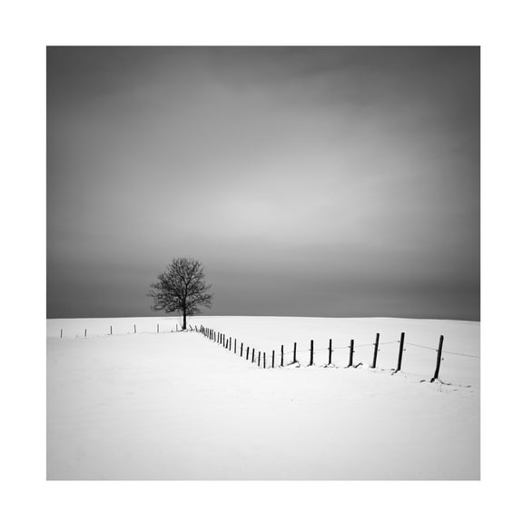 Canvas Wall Art - Alexej Schulz 'Alignment' Wall Art for Living Room, Bedroom, or Office Décor by Trademark Fine Art - 14 x 14 Inches