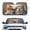 Cat Dog Duo Print, variant on HUIACONG Cute Panda Print UV Protection UV & Heat Shield for Car SUVs Car Windshield Sun Shade Foldable