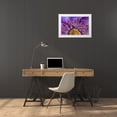 thumbnail image 3 of Paulson, Don 24x17 White Modern Wood Framed Museum Art Print Titled - Close-up of part of clematis blossom, 3 of 4