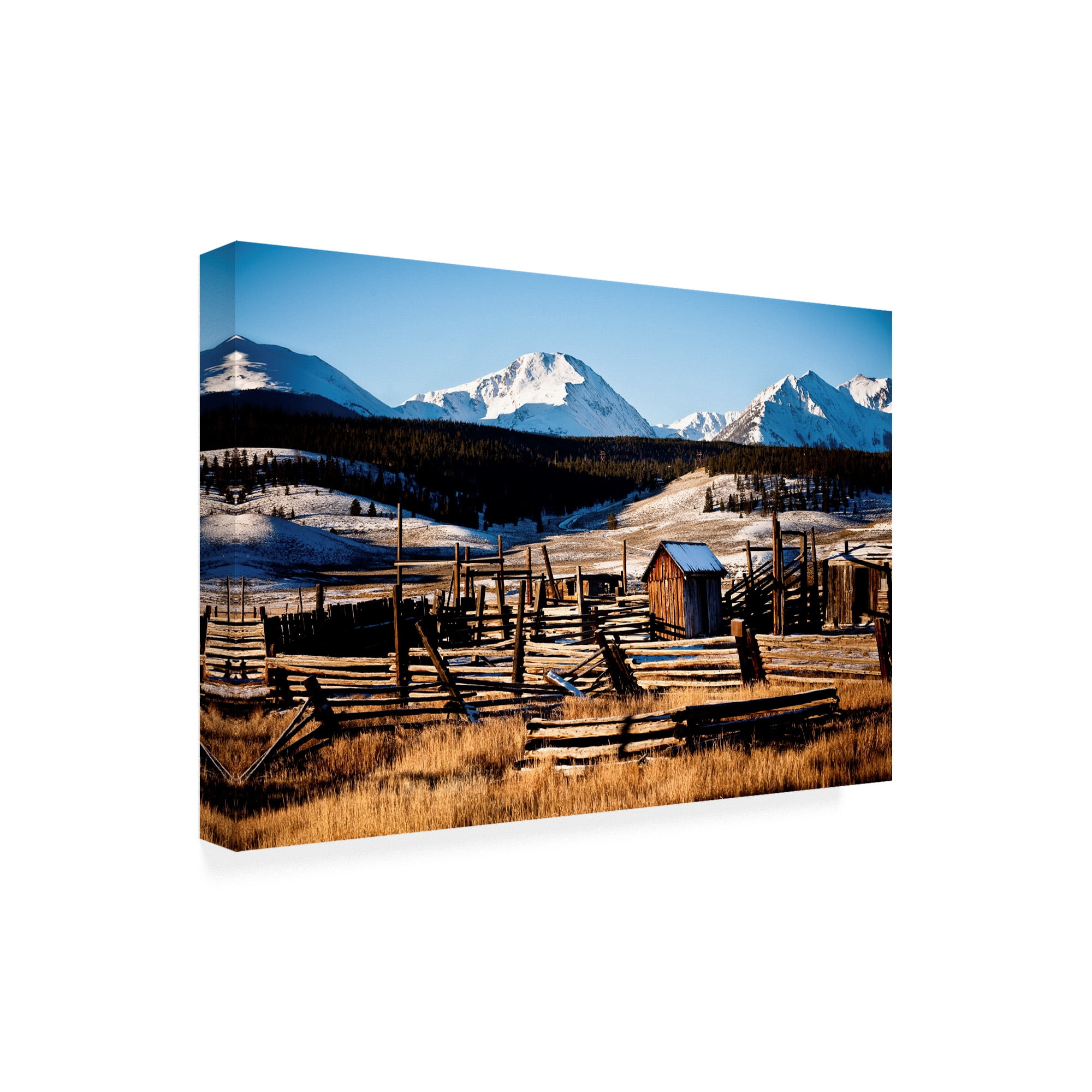 Trademark Fine Art 'Snowy Corral' Canvas Art by Dan Ballard