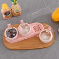 thumbnail image 4 of Boîte à Assaisonnement, Support à Assaisonnement Pots à Épices, Contenant de Rangement Pots à Condiments, 4 Pcs PS Cruet avec Couvercle et Cuillère Rose4, 4 of 5
