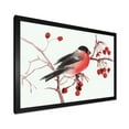 thumbnail image 2 of Designart 'Bullfinch Bird Sitting On A Branch' Traditional Framed Art Print, 2 of 4