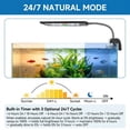 thumbnail image 3 of DAYBETTER 11" Length Clip On Aquarium LED Light, 24/7 Mode Full Spectrum Fish Tank Light with Timer, Adjustable 10 Brightness for Fish Tank, 3 of 7