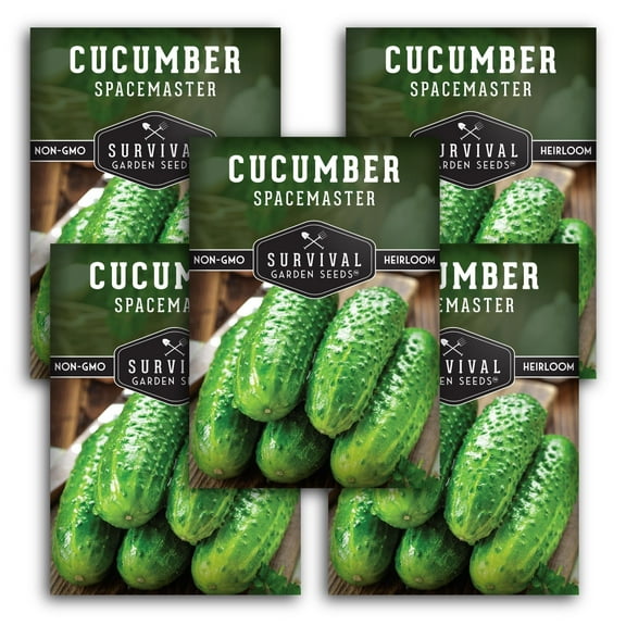 Spacemaster Cucumber Seeds - Non-GMO Heirloom Full Sun Annual Vegetable - 5 Packs