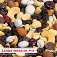 thumbnail image 3 of Deluxe Trail Mix with Greek Yogurt, Chocolate, Fruit and Nuts by Its Delish, 2 Lbs Bulk Bag  Healthy Mix of Greek Yogurt Coated Raisins & Dark Chocolate Chips, Sweet & Salty Snack  Kosher Dairy, 3 of 7