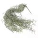 thumbnail image 5 of Green Moss for Planters Simulated Hanging Vine Artificial Plants Bonsai Decorative Air Plastic, 5 of 5