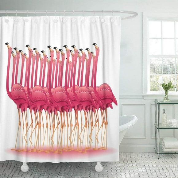 RYLABLUE Animals Pink Flamingos Group Aquatic Beak Beautiful Beauty Birds Color Dance Shower Curtain 60x72 inch