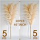 thumbnail image 5 of Pampas Grass 46 pulgadas 10 tallos Pampas Grass decoración neutra boho Pampas Grass para jarrón de piso boda arreglo floral pared mesa granja, 5 of 8