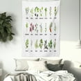 thumbnail image 3 of Herb Tapestry, Natural Treatment Infographic Scheme with Healthy Plants and Names Herbalism Themed, Wall Hanging for Bedroom Living Room Dorm Decor, 60"W X 80"L, Multicolor, by Ambesonne, 3 of 5