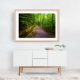 thumbnail image 6 of Flume & Trail - North Carolina Photography Forest Nature Scenic Landscape Botanical Rural Unframed Wall Art Print 32 x 48 inches, 6 of 7