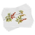 thumbnail image 1 of Ambesonne Rowan Place Mats Set of 4, Fresh Organic Ashberry, Standard Size, Green Red Brown, 1 of 6