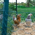 thumbnail image 2 of YARDGARD 308452B Poultry Netting Fence 24 Inch x 25 Foot, Green, Height Length-25 Ft, Color, 2 of 4