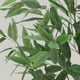 thumbnail image 2 of QinaQin Árbol artificial de eucalipto con hojas de seda realistas, planta decorativa para interior o exterior, ideal para sala, oficina, entrada o porche, 2 of 8