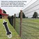 thumbnail image 5 of 10 PCS Gate Handle for Electric Fence, Insulated Spring Tension, Replacement Accessories for Fencin, 5 of 5