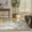 Ivory Taupe, variant on Nourison Concerto 7'10" x 9'10" Ivory Taupe Vintage Indoor Rug