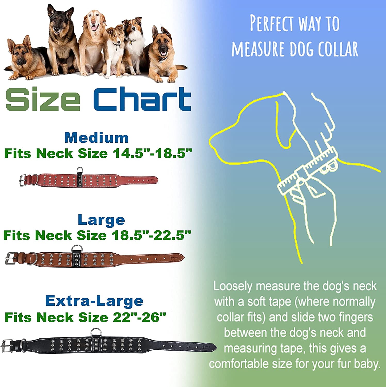 DowgClub | Genuine Leather Dog Collar with Riveted Spikes | Saddle Grade, Full Grain, Heavy Duty | Comfortable, Cushion Padding Inside, Strong | Best for Medium, Large, XL Breeds