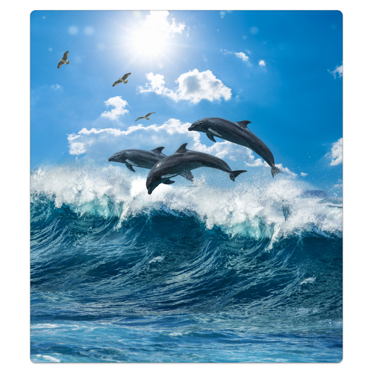 Dishwasher Magnet Cover, Ocean Dolphin Seascape Print, PVC Magnetic Sheet Front Dishwasher Cover Decoration 26x20In, Reusable Waterproof Decorative Appliance Front Wrap