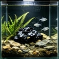 thumbnail image 5 of Cueva decorativa para acuario con escondite para peces | Túnel realista para gambas | Refugio para peces pequeños y gambas enanas | Zona de alimentación y descanso para el hábitat del acuario, 5 of 5