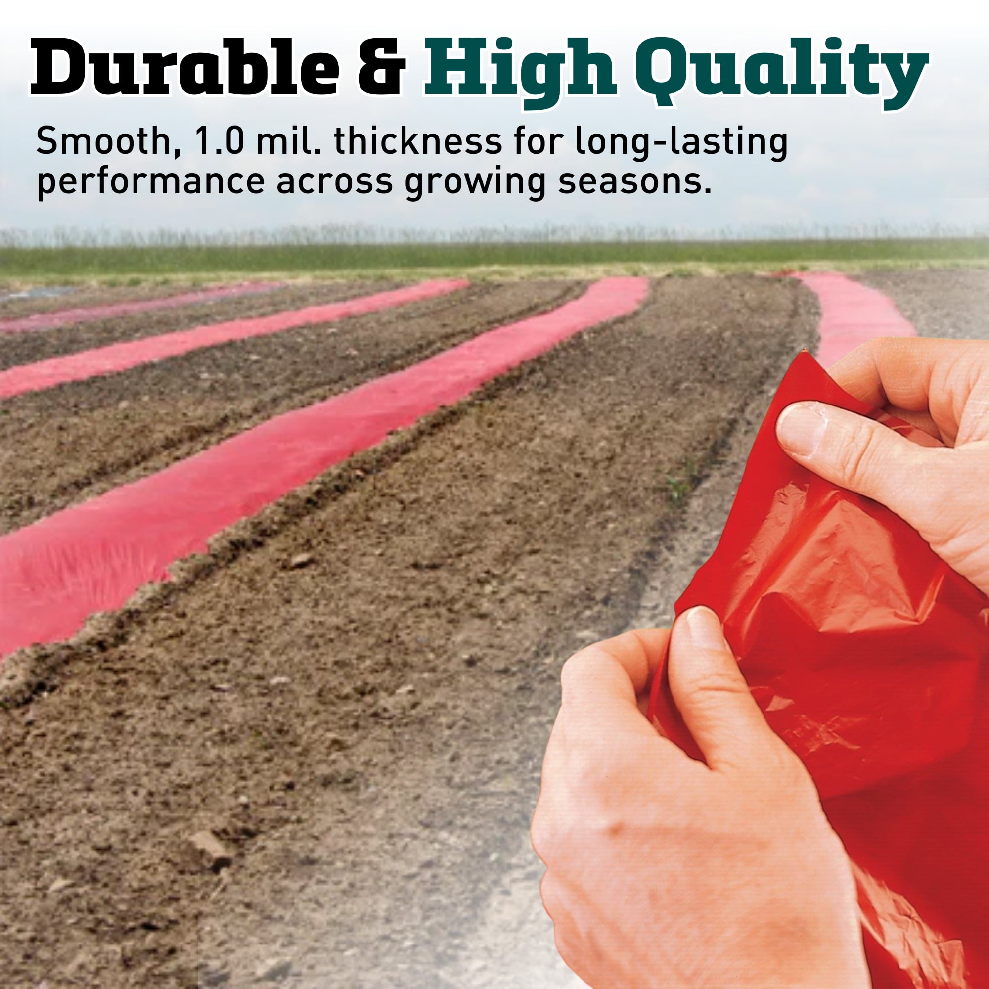 Red Plastic Mulch, 4' x 30' with Effectiveness for Early Season Tomato Growing