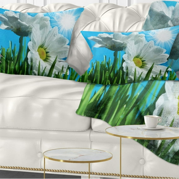 Designart Beautiful Chamomiles in Bright Sunlight - Floral Throw Pillow - 12x20