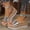 Silver, variant on Ladies Wedge Sandals Open Toe Round Toe Buckle Platform Casual Comfortable Silver 8.5(41)