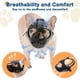 thumbnail image 4 of Bozal sin corteza para bulldog inglés con hocico corto XL, 4 of 6