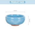 thumbnail image 2 of POINTERTECK Pot Planter Succulent Pots Flower Ceramic Cactus Container Mini Shallow Plants  Plant Decorative Holder Garden Small, 2 of 6