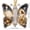 #006, variant on Butterfly Christmas Money Gift Ornament Butterfly Xmas Cash Decor Acrylic Cash Holder with Built‑in Clear Compartment Holiday Wallets for Tree Window Car Gift for Family Friends