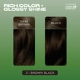 thumbnail image 3 of Clairol Natural Instincts Demi-Permanent Hair Color Creme, 3 Brown Black, Hair Dye, 1 Application, 3 of 13