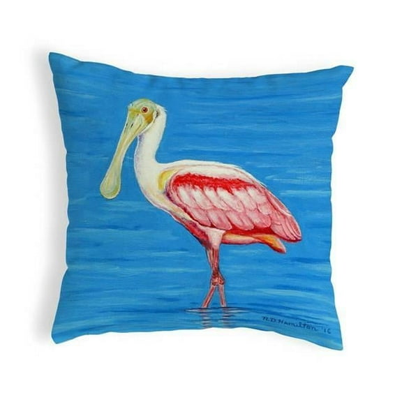 12 x 12 in. Dicks Spoonbill Small No-Cord Indoor & Outdoor Pillow