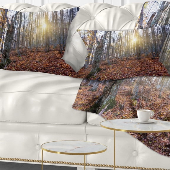 Designart Setting Sun in Dense Fall Forest - Modern Forest Throw Pillow - 12x20