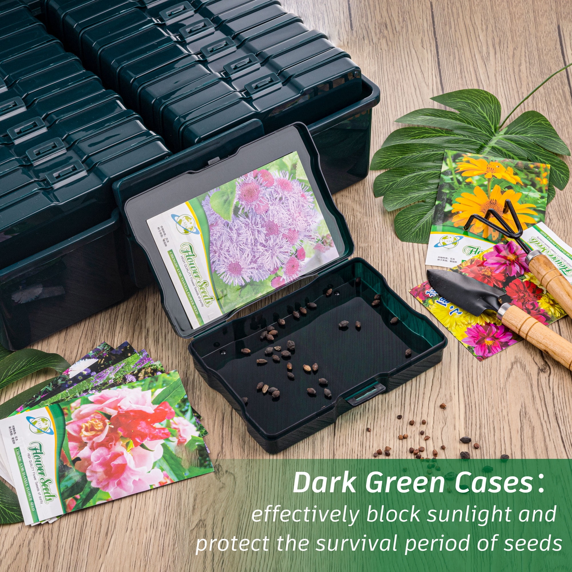 WRVCSS  Dark Green Seed Storage Box With 16 pcs 4" x 6" cases,Seed Organizer,Photo Storage Box For pictures