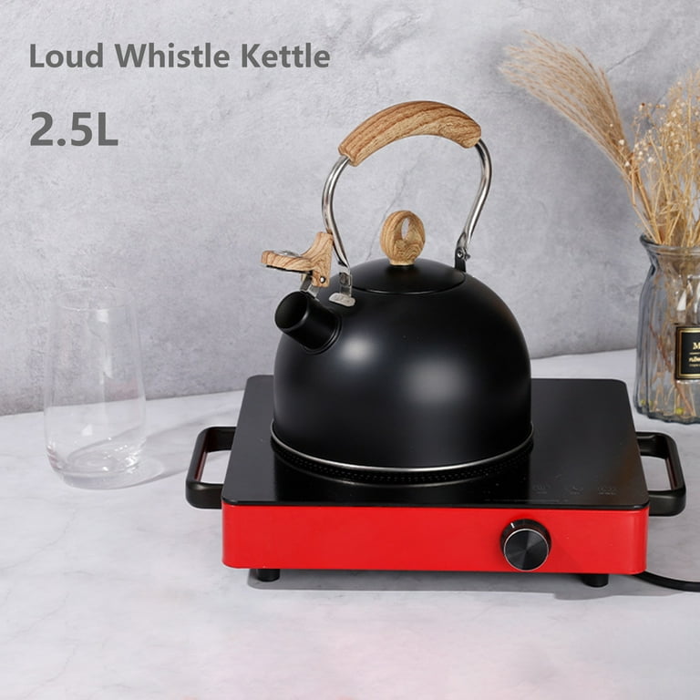 Kettle for induction cooker online