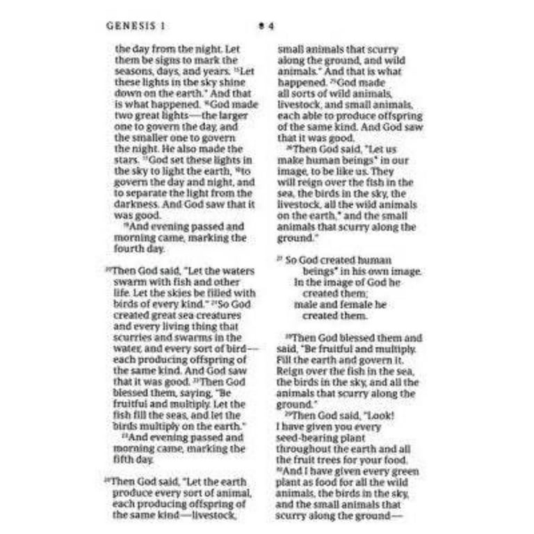 Tyndale NLT Compact Giant Print Zipper Bible, Filament Edition