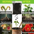 thumbnail image 6 of 300G Organic Horticultural Activated Charcoal, Natural Soil Supplement for Indoor Plants, Perfect for Orchids, Terrariums, Bonsai and Garden Use, 6 of 7
