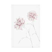 Canvas Wall Art - Pictufy Studio Ii 'Peony 03' Wall Art for Living Room, Bedroom, or Office Décor by Trademark Fine Art - 12 x 19 Inches