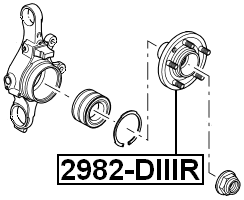 Rear Wheel Hub FEBEST 2982-DIIIR OEM RUC500120