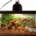 thumbnail image 2 of Zoo Med Repti Bark Sustrato Natural Premium 9,5 L, 2 of 5