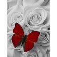 thumbnail image 1 of EverShine DIY Diamond Mosaic Flowers Cross Stitch Diamond Embroidery Rose Rhinestones Art Painting Black And Red Home DecorSquare Drill 45x60cm Gao Jinjia LED, 1 of 2