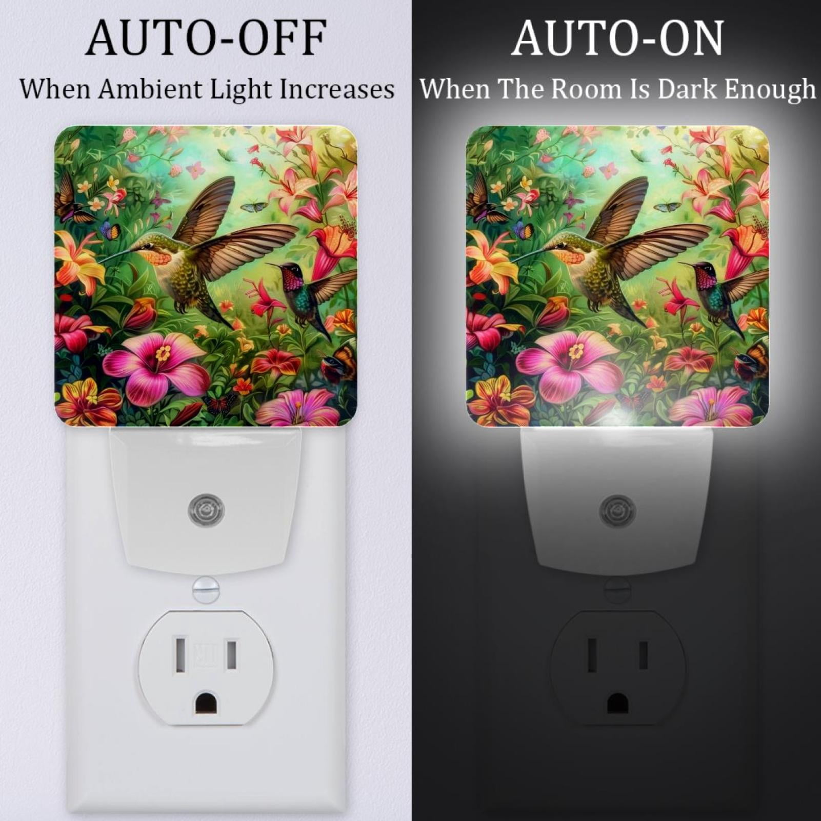 PhooArto Hummingbird and Colorful Floral Plug in LED Night Light Auto Sensor Dusk to Dawn Decorative Night for Bedroom, Bathroom, Kitchen, Hallway, Stairs, Baby's Room, Energy Saving