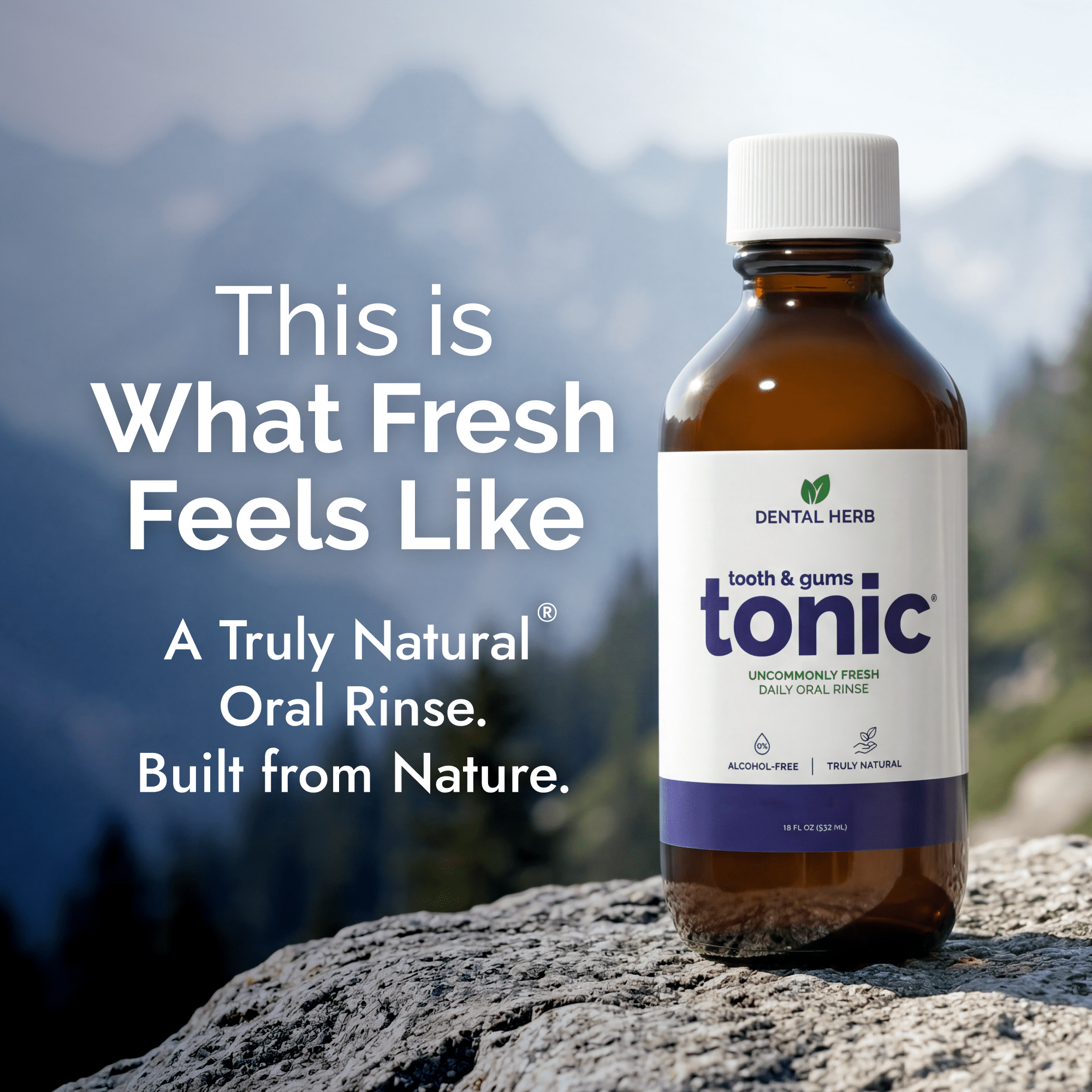 Tooth & Gums Tonic – Truly Natural Oral Rinse, Plant-Based, Alcohol-Free, Fluoride-Free, Herbal Extracts & Essential Oils, Fresh Breath & Daily Gum Care, 18 fl oz – Dental Herb Company