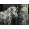 thumbnail image 2 of Wiley, Marta 14x11 Gold Ornate Wood Framed with Double Matting Museum Art Print Titled - Horse in the sun, 2 of 4