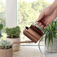 thumbnail image 2 of ABPETE ​Mini Watering Can, 10oz/300ml Stainless Steel Long Spout Small Watering Can for Indoor Plants Succulents, Herbs (Bronze), 2 of 17